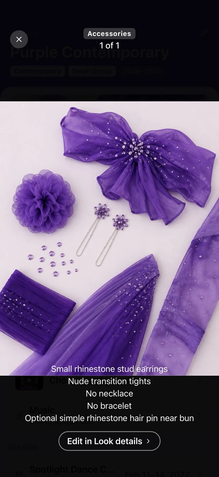 Ovation accessories detail view for Purple Contemporary with saved notes for earrings, tights, and hair accessories.